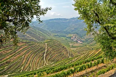 Douro Valley Escapade