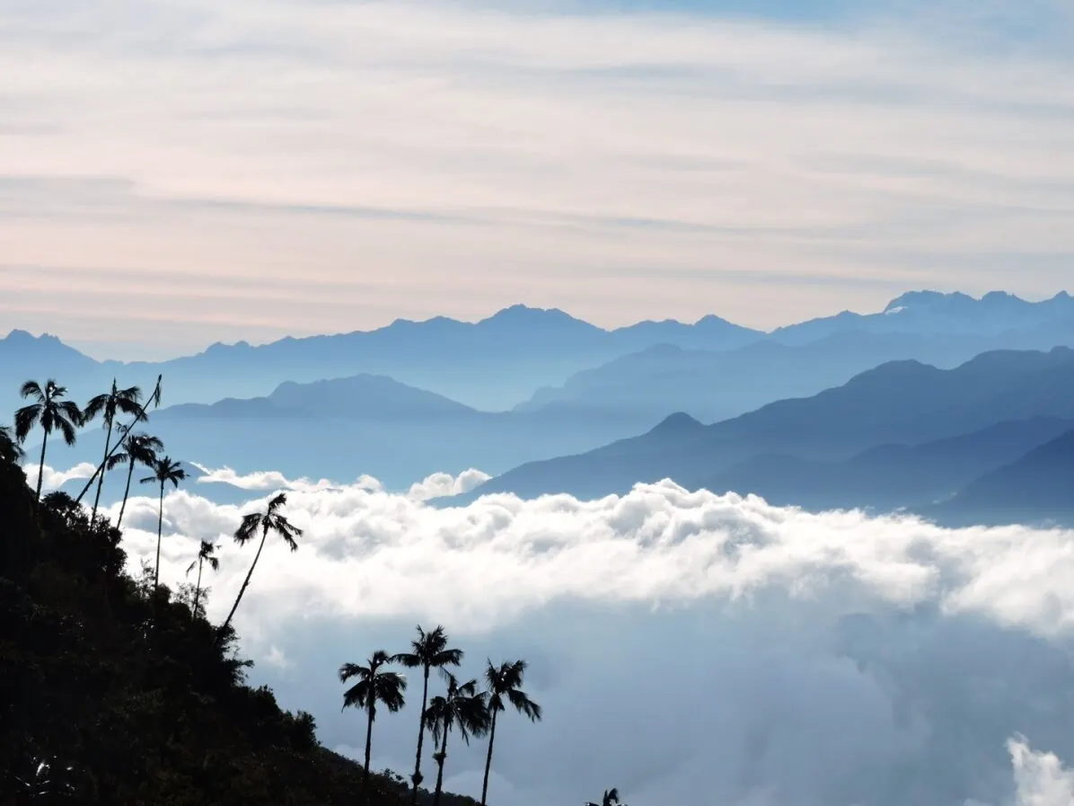 Colombia's Coffee Culture Private Journey