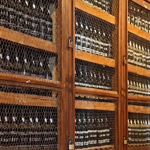 Madeira Wine