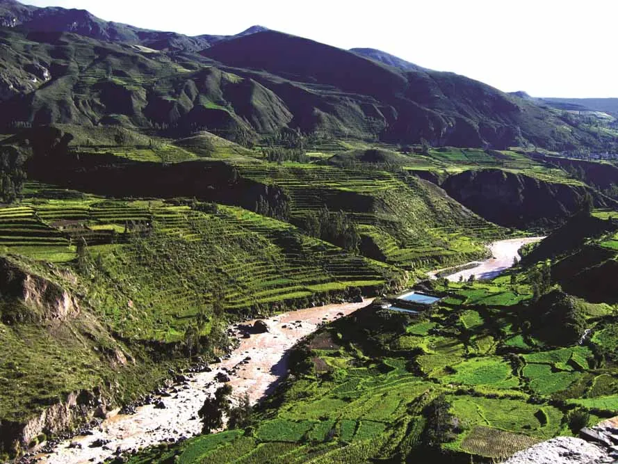 Colca Canyon