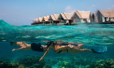 Maldives DiscoveryImage