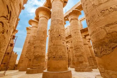 Egypt Explorer By Land Image