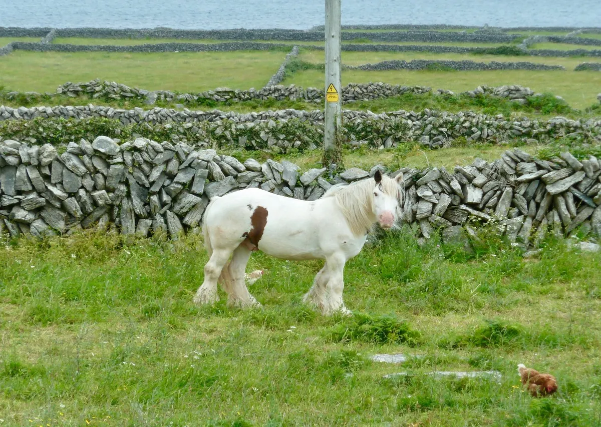 Aran Islands 