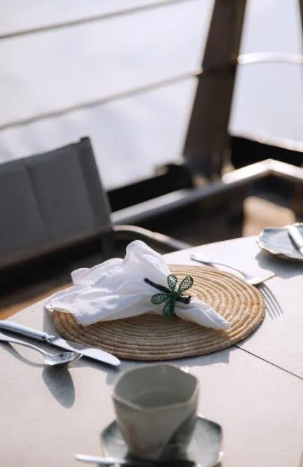 Aria Amazon Explorer Cruise