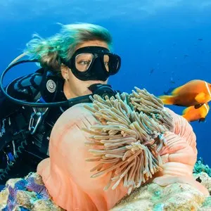 Banana Reef