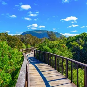 Mount Coolum National Park