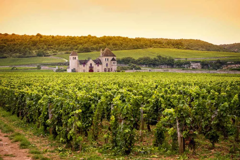 Bordeaux and Basque Country Culinary Journey