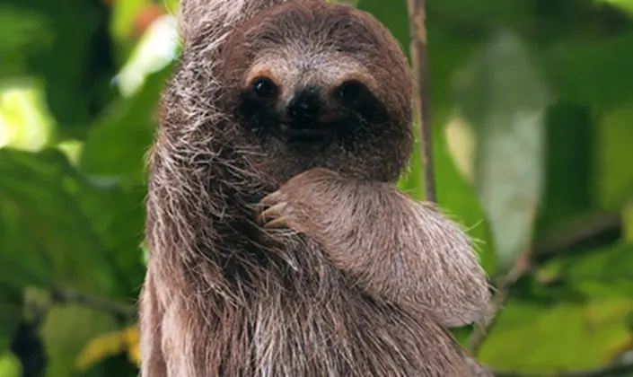 Costa Rica National Parks Explorer