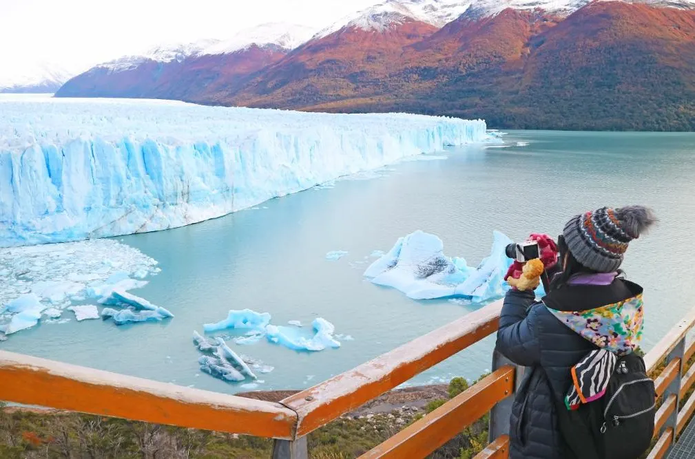 Patagonia Discovery through Wildlife Vineyards and Glaciers