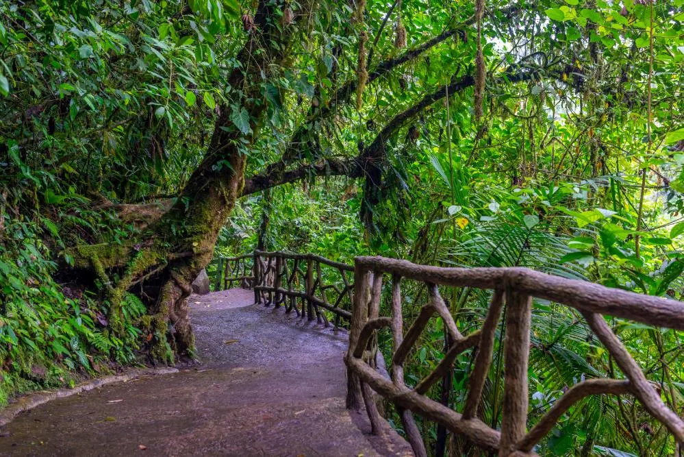 Costa Rica Self-Drive: From the Caribbean to the Pacific 