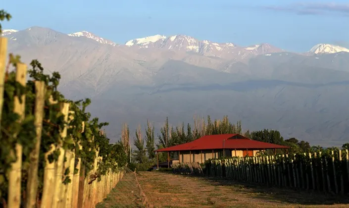 Argentina and Chile Wine Country Explorer