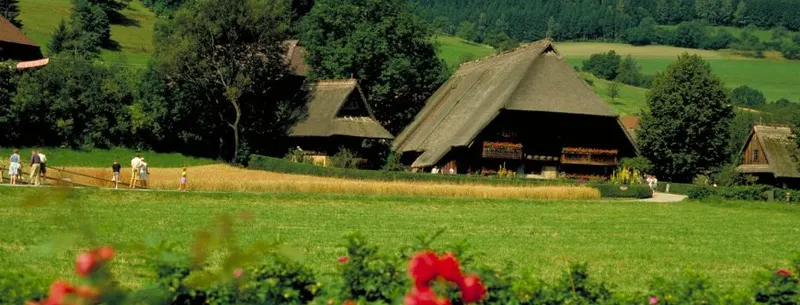 Black Forest