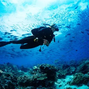 El Tour Caribe