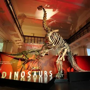 Australian Museum