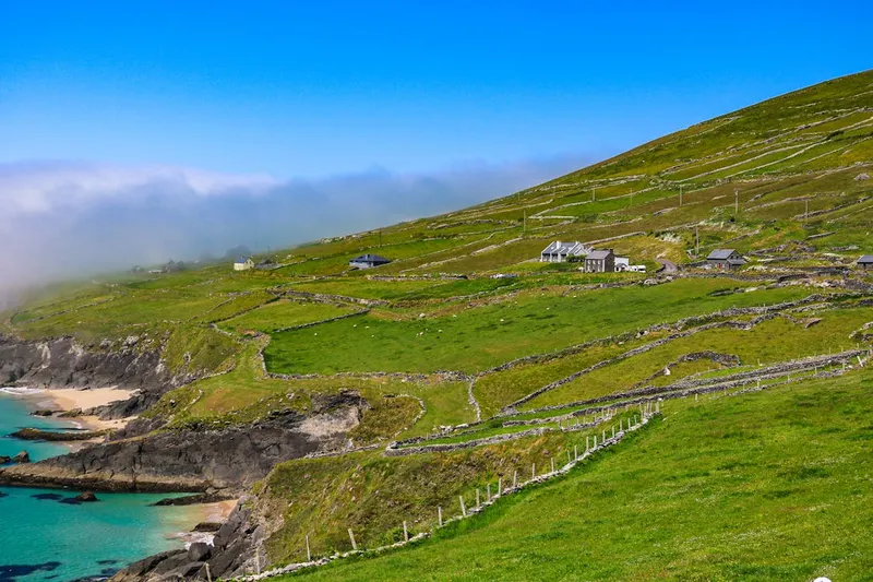 Dingle