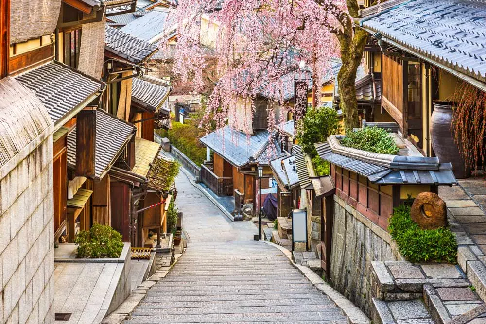 Kyoto Discovery