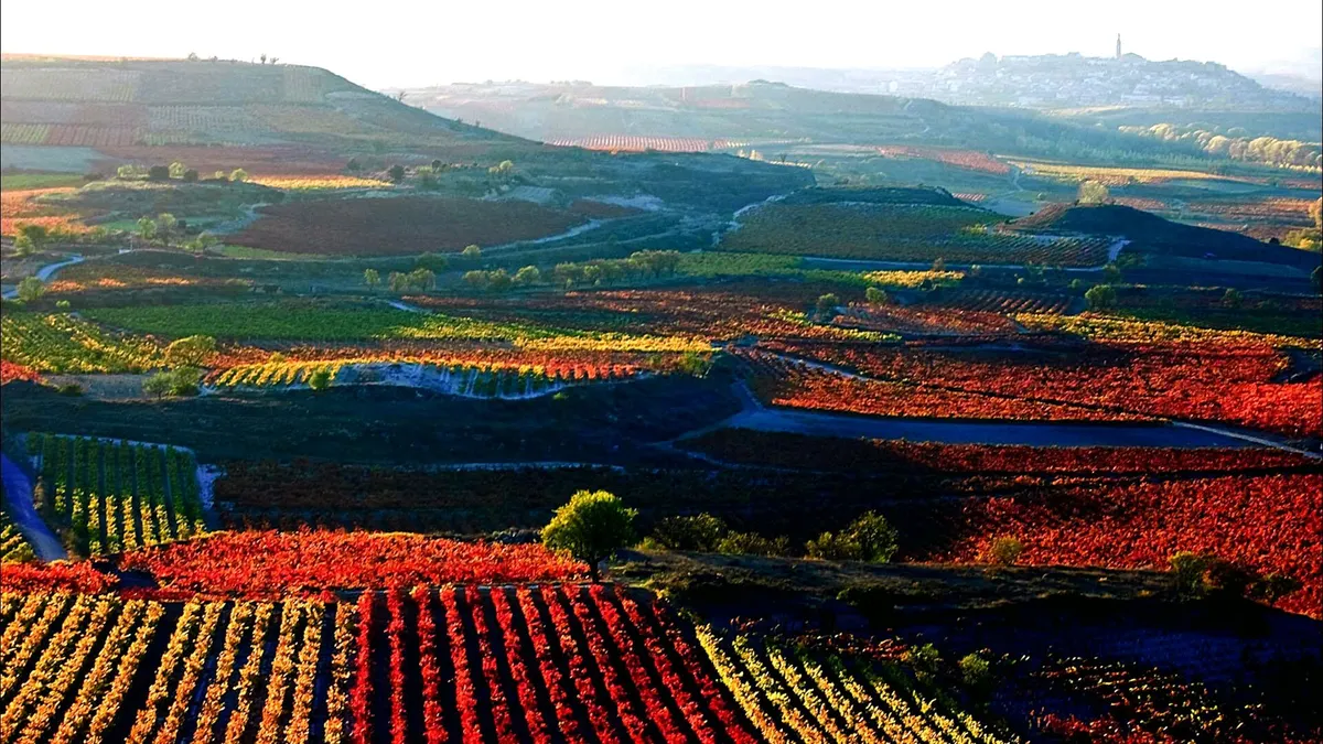 Madrid La Rioja San Sebastian Private Journey