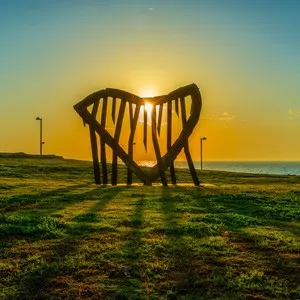 Charles Clore Park