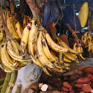 banana in food market in zanzibar