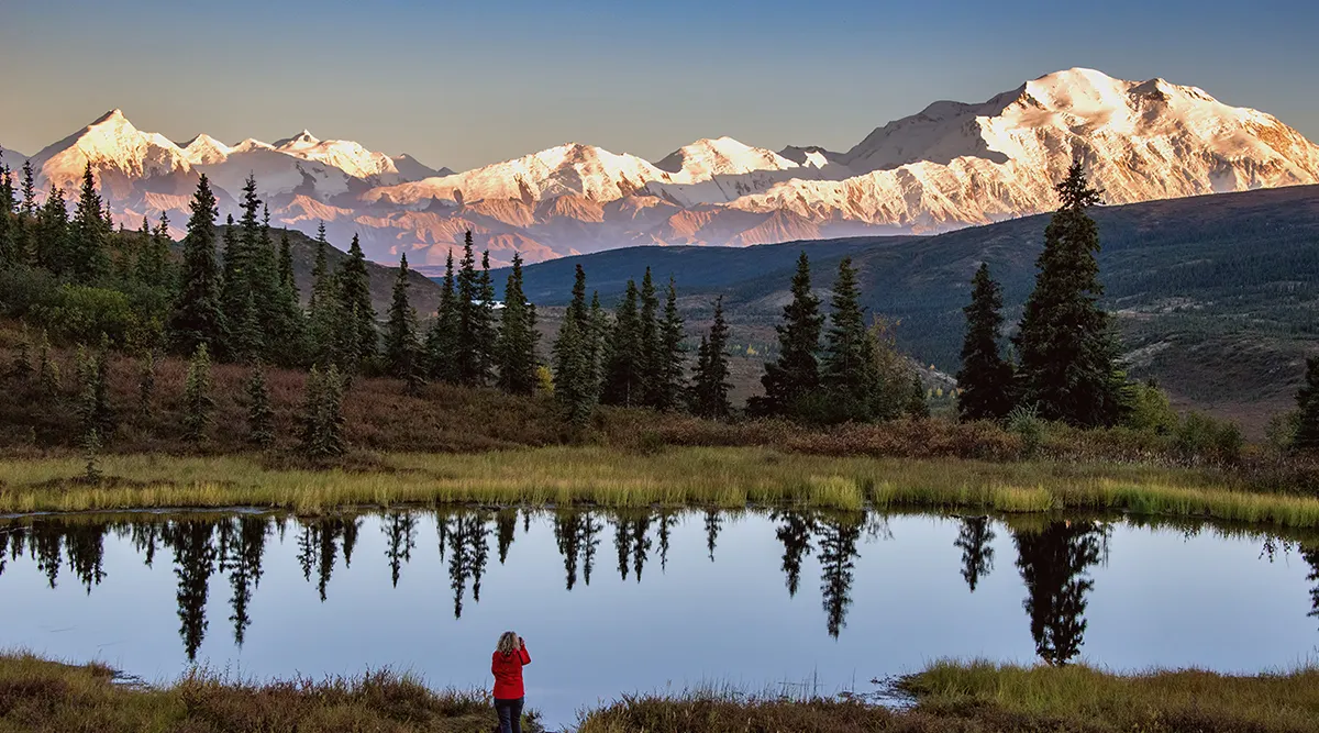 Denali National Park And Talkeetna Self Drive Explorer