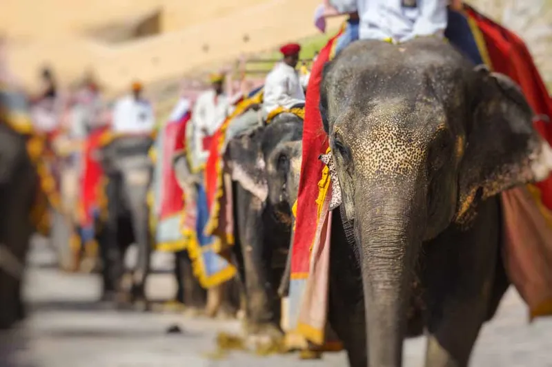Bangalore