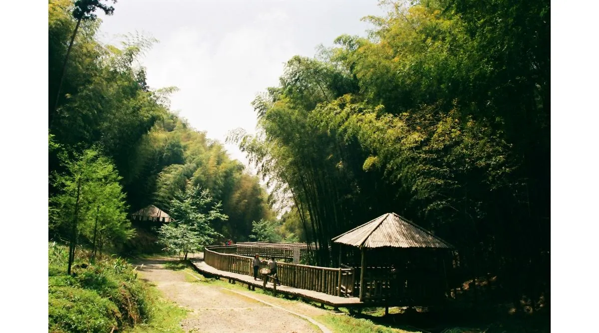 Corcovado National Park 