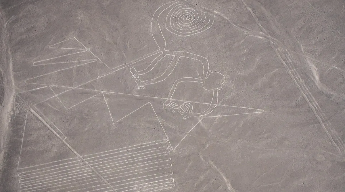 Nazca Lines and Islas Ballestas Escapade