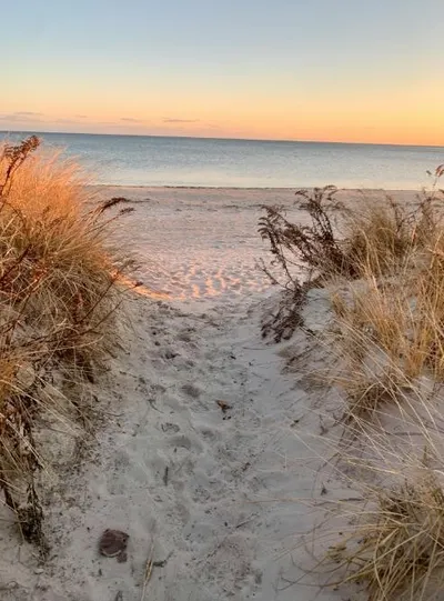 Cape Cod