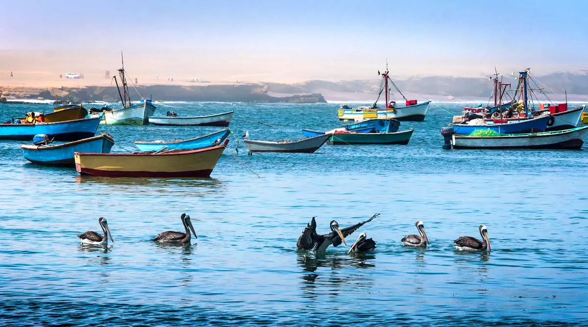 Paracas