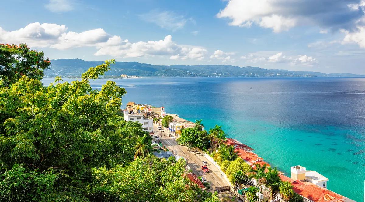 Jamaica Discovery