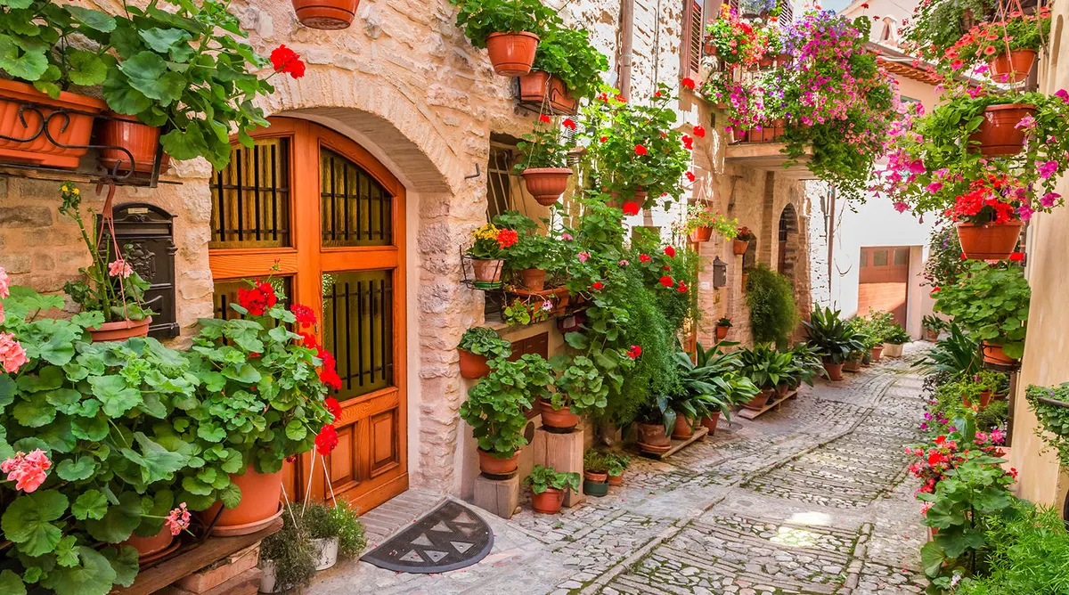 Enchanting Italy - photo 3