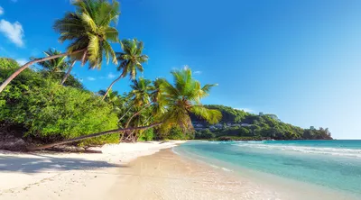 Praslin Island