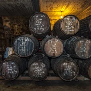 Port wine barrels in cellar