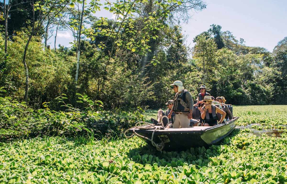 Amazon Discovery Cruise 