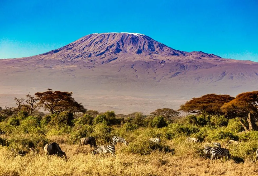 Amboseli National Park