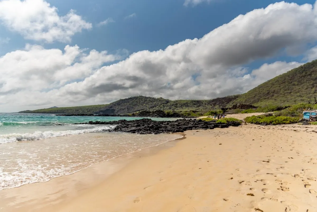 Galapagos Islands Southern Route Cruise Aboard MC Alya