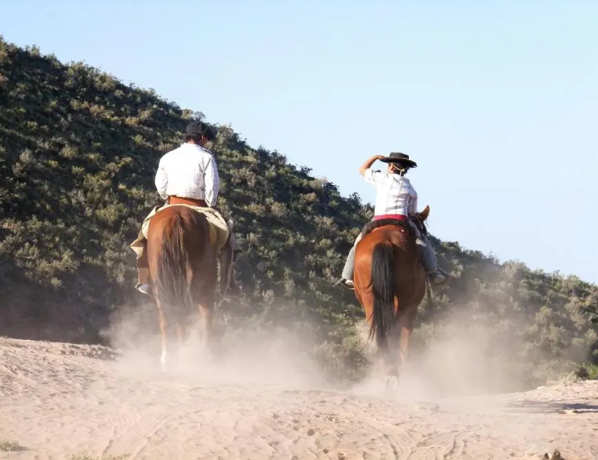 Argentina Horseback Explorer