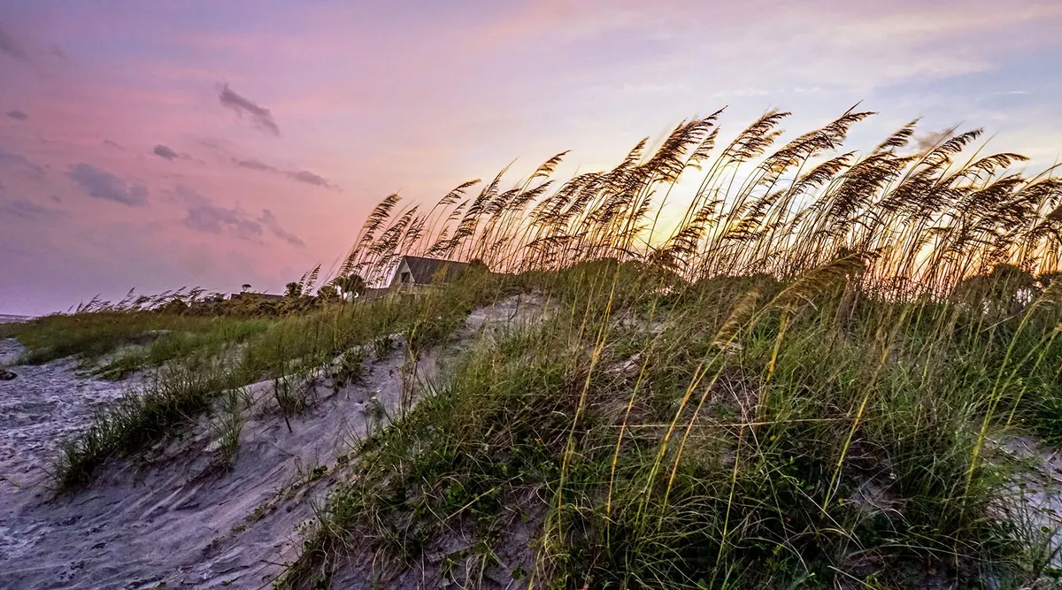 Hilton Head