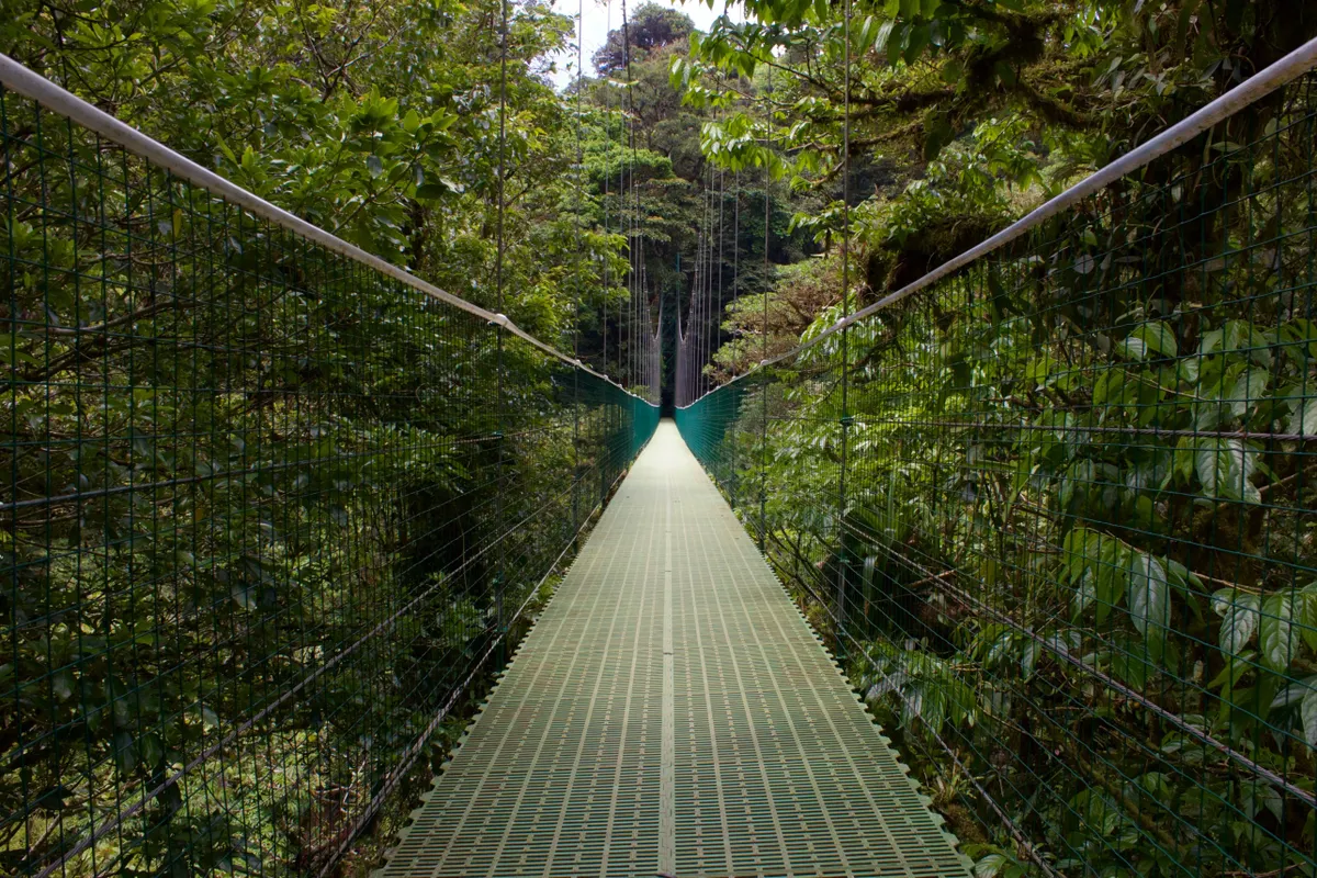Costa Rica Beach Lovers Adventure 