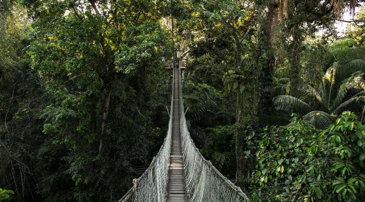 Iquitos
