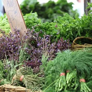 Carriageworks Farmers Market