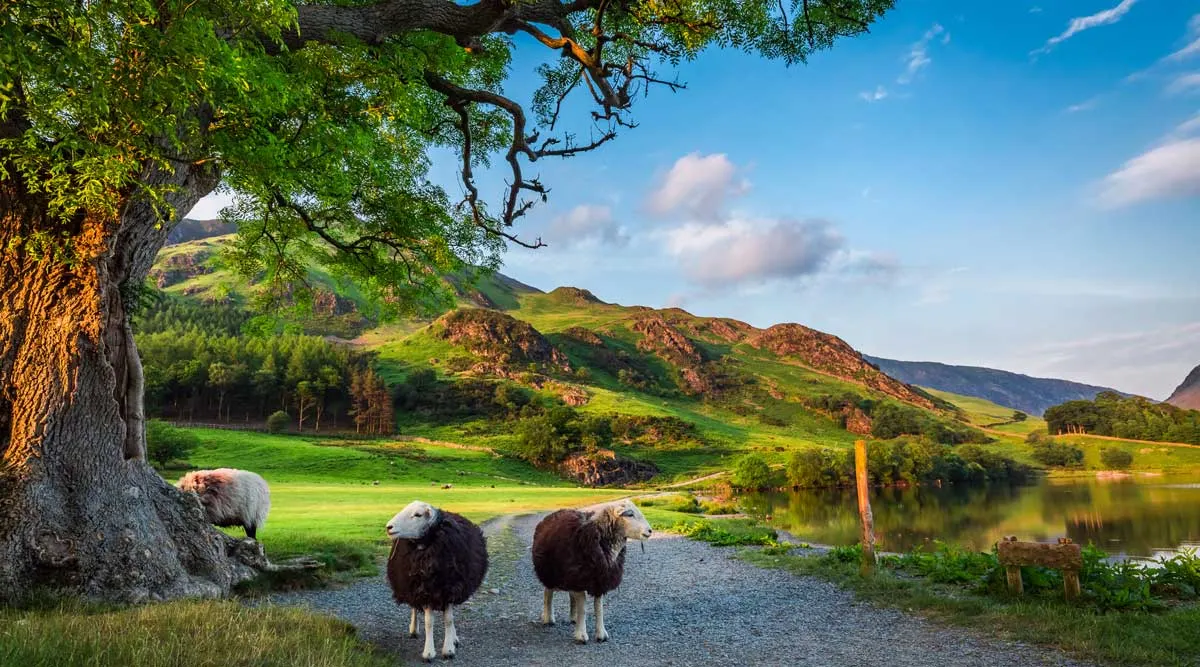 Great Rail Journey to The Lake District Aboard Britannic Explorer