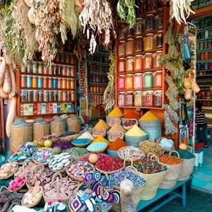 Highlights of Marrakech: Private Half-Day City Tour