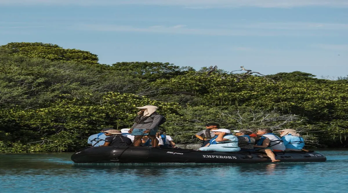 Tanzania Classic Meets a Grand Ocean Crossing