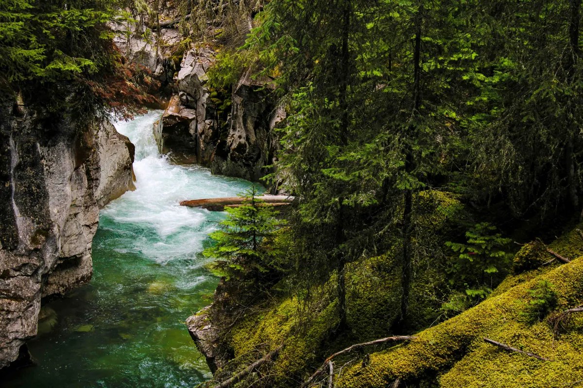 Canada's Best and First Passage To The West Great Rail Journey 