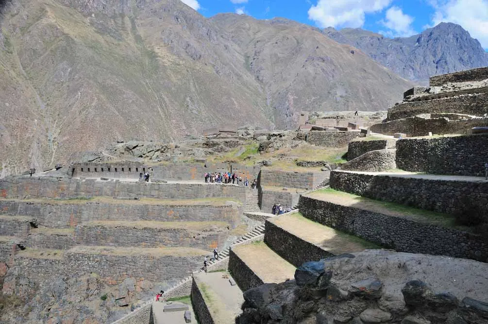 Peruvian Explorer