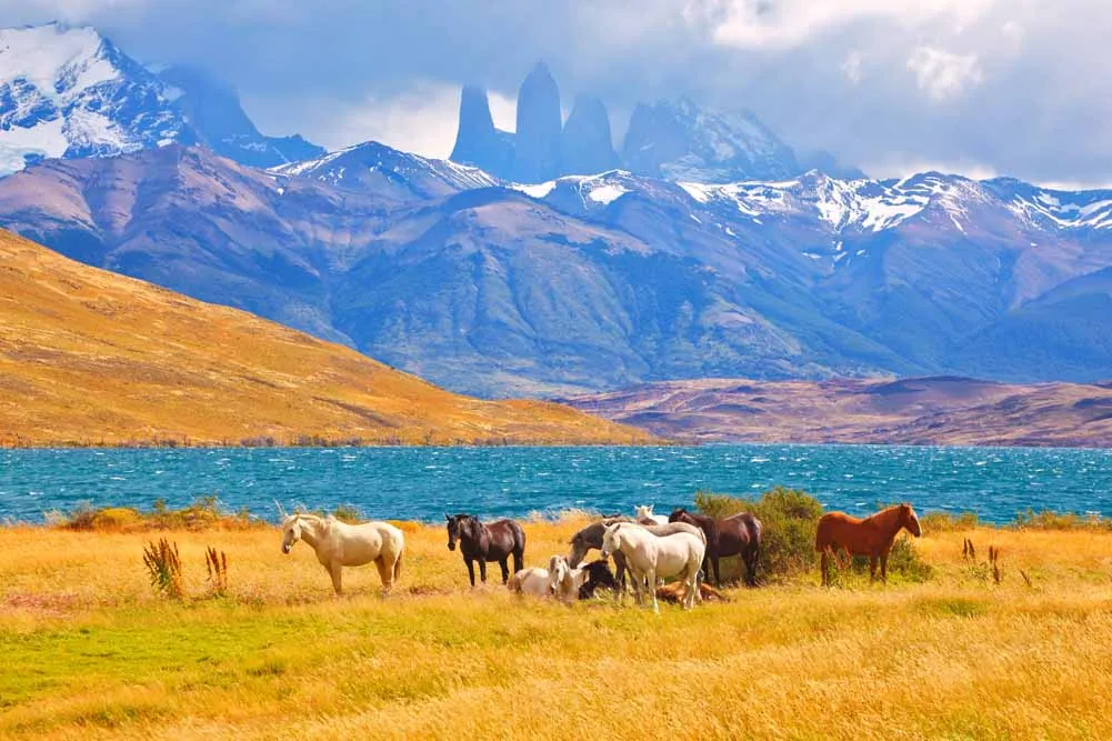 Highlights of Patagonia Escorted Vacation
