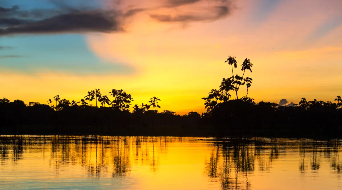 Ultimate Amazon River Cruise Explore Pacaya Samiria & Machu Picchu Adventure