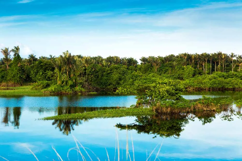 Amazon Deep Exploration Adventure