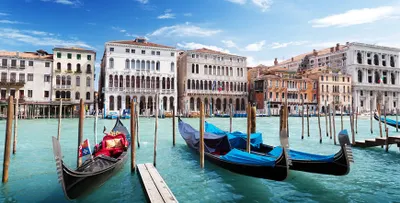 Italian Art Capitals from Venice to Rome